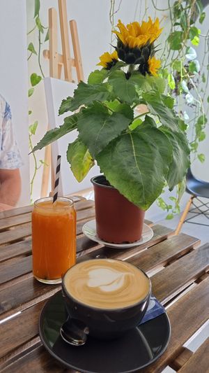Coffee, juice and sunshine 🌞 at REVIV in Malaga