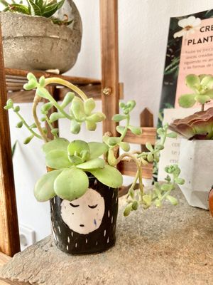 Cute interior! 🥰 at REVIV in Malaga