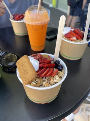   at Nectar in Port Douglas