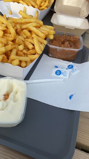 Veganaise en vegan stoverij at ‘T Pleintje in Geel