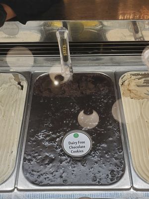 🚫🐄Dairy-free chocolate🍫 cookies (WATCH DAIRY IS SCARY ON YOUTUBE) at Anita Gelato - Old San Juan in San Juan