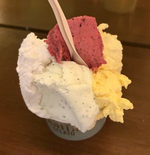 mango + coconut + tropical + limoncello!  at Anita Gelato - Old San Juan in San Juan