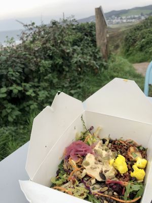 Vegan Feast Box. Lentils, seeds, beans, hummus, veggies etc. Delicious   at The Porthole in Woolacombe