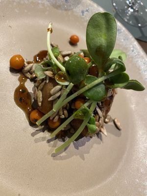 Aubergine at neobiota in Cologne