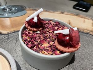   at neobiota in Cologne