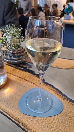  at neobiota in Cologne