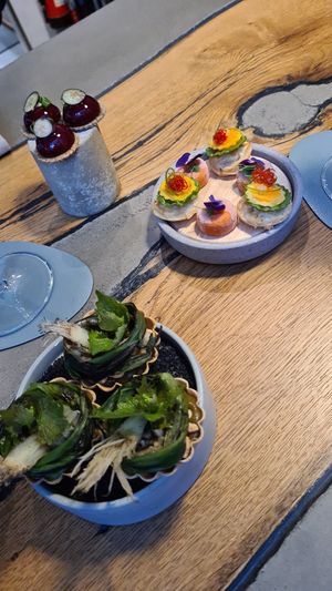  at neobiota in Cologne