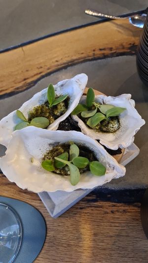  at neobiota in Cologne