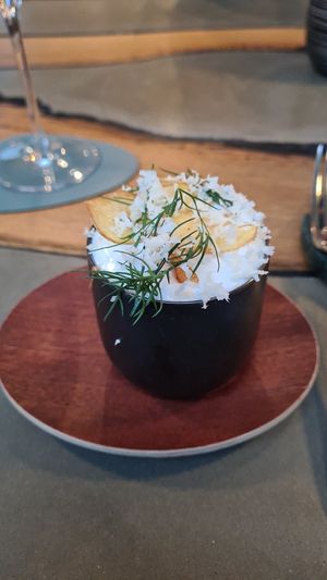  at neobiota in Cologne