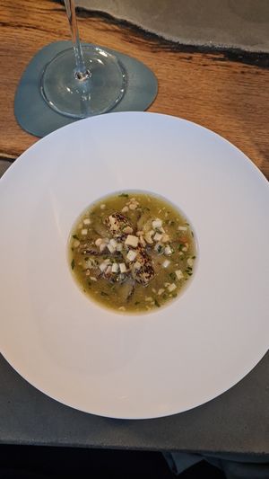  at neobiota in Cologne