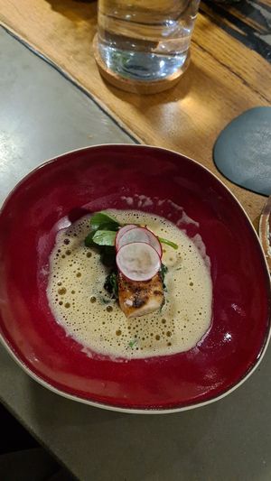  at neobiota in Cologne