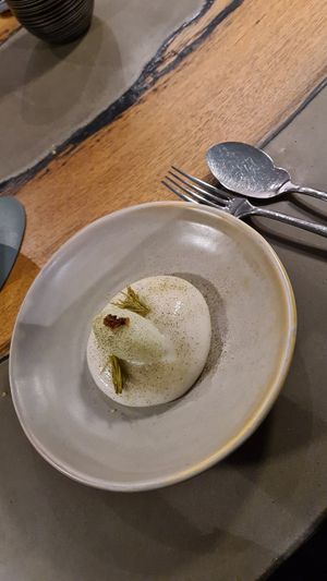  at neobiota in Cologne