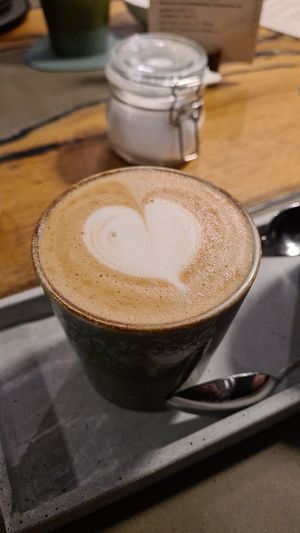  at neobiota in Cologne