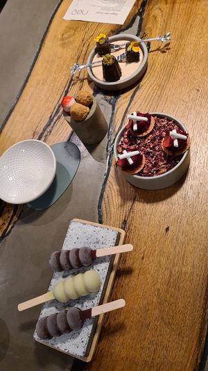  at neobiota in Cologne