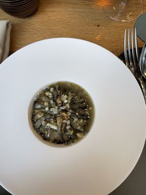   at neobiota in Cologne