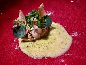   at neobiota in Cologne