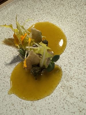 Alles vom Löwenzahn  at neobiota in Cologne