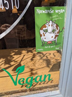 A postcard from a happy customer 💙 at Rivers Coffee Shop in Limeuil