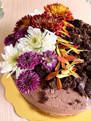   at Kumara Vida in Pereira