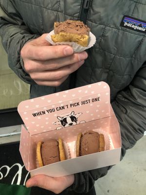 We got a flight of 3 minis  to save some $$!   at Innocent Ice Cream Parlour in Vancouver