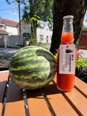 Wild Combination- watermelon and lemon verbena juice. Made fresh daily.  at Joust Juice in Rhinebeck