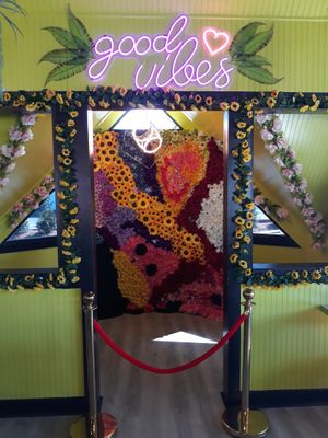  at Mike's Vegan Grill in Greensboro