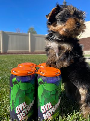  at Escape Craft Brewery in Redlands