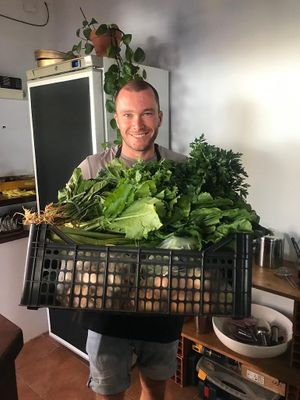  at Cantinho do Mercado in Vila Nova De Milfontes