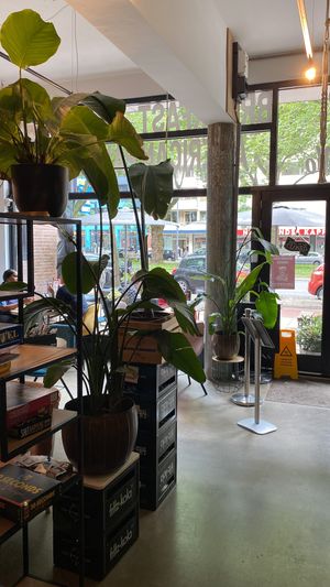   at Mr NonNo - Center in Rotterdam