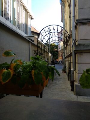 Entrance at Verv Kitchen in Bucharest