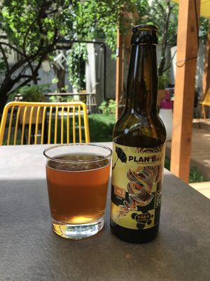 Craft beer  at Verv Kitchen in Bucharest