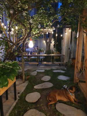  at Verv Kitchen in Bucharest