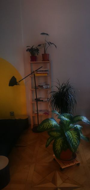 interiors at Verv Kitchen in Bucharest