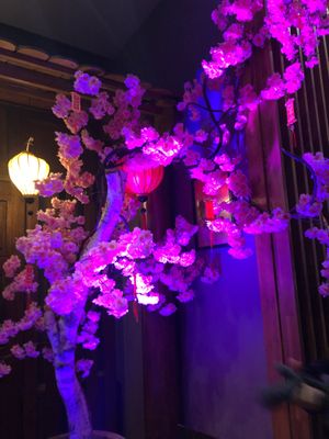   at VietPho Cuisine in Frankfurt