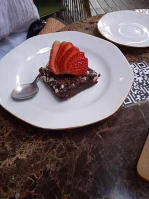 Brownie at AMA in Medellin