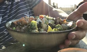 Bowl  at Noosa in Zandvoort