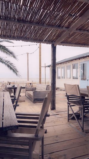   at Noosa in Zandvoort