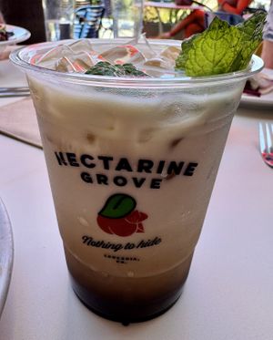   at Nectarine Grove in Encinitas