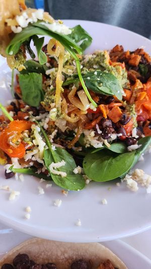 Fajita bowl at Nectarine Grove in Encinitas