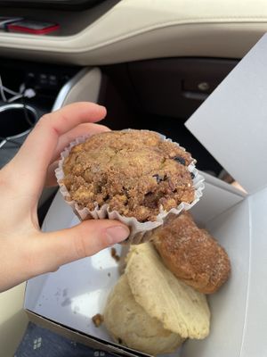 Blueberry & walnut coffee cake muffin; below are a lemon cookie, sour cream & chive scone, apple bundt cake, and a strawberry rhubarb oat bar 😋   at Wildflour Vegan Bakery and Juice Bar in Pawtucket