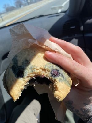   at Wildflour Vegan Bakery and Juice Bar in Pawtucket