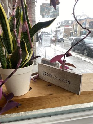   at Om Plante in Magog