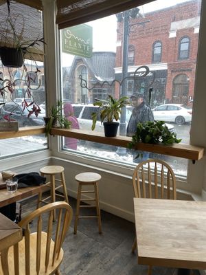   at Om Plante in Magog