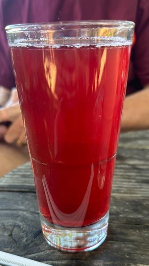 House made soda - cranberry so good!  at Hip Vegan in Ojai