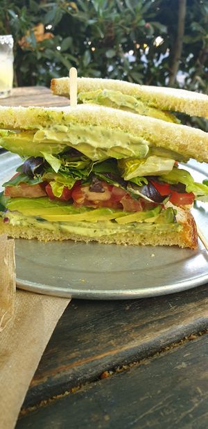  at Hip Vegan in Ojai