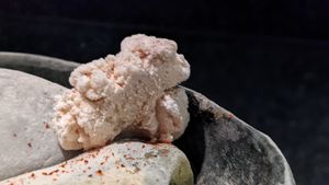 Nitrogen crazy things at AV in Honolulu