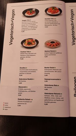 The vegan and vegetarian menu options at Akakiko in Salzburg