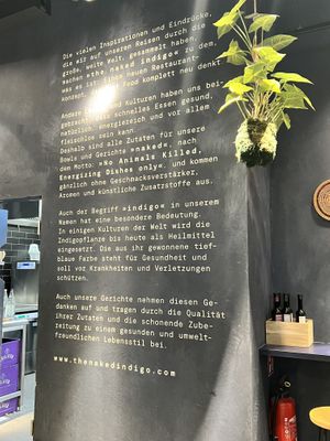   at The Naked Indigo in Salzburg