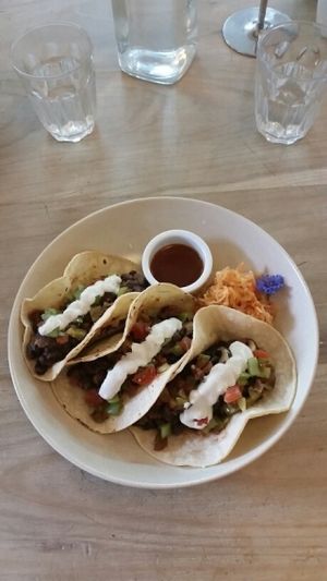 Vegan soft shell tacos - Delicious! at The Wholefood Kitchen in Napier