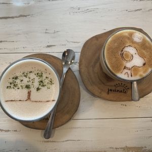 Drinks   at Juvenate in Stellenbosch